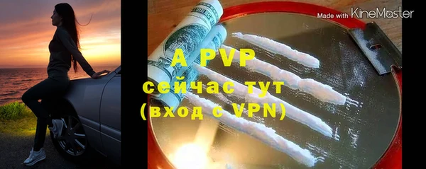 тгк Абаза