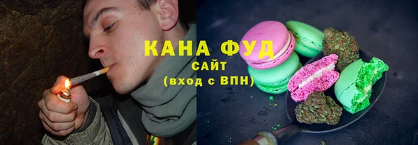 тгк Абаза