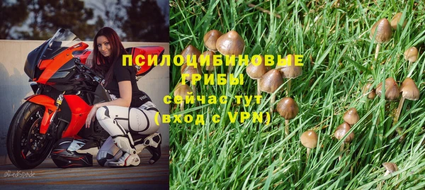 не бодяженный Абдулино